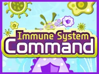 https://www.fvhl.cn/game/immune-system-command