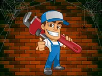 https://www.fvhl.cn/game/plumber