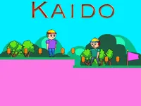 https://www.fvhl.cn/game/kaido