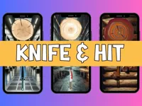 https://www.fvhl.cn/game/knife-and-hit