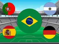 https://www.fvhl.cn/game/world-cup-flag-match