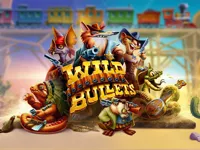 https://www.fvhl.cn/game/wild-bullets