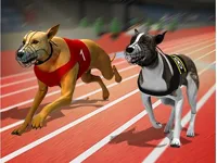 https://www.fvhl.cn/game/racing-dog-simulator-crazy-dog-racing-games