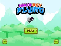 https://www.fvhl.cn/game/ninja-flying-boy