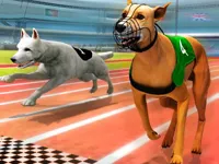 https://www.fvhl.cn/game/dogs3d-races
