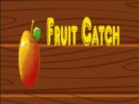 https://www.fvhl.cn/game/fruit-catch