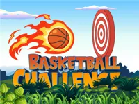 https://www.fvhl.cn/game/basketball-challenge-online-game