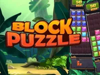 https://www.fvhl.cn/game/block-jewel-2024