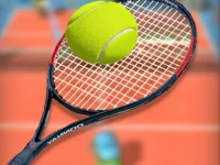 https://www.fvhl.cn/game/tennis-3d-mobile