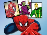 https://www.fvhl.cn/game/spiderman-match-cards