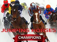 https://www.fvhl.cn/game/jumping-horses-champions