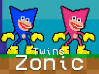 https://www.fvhl.cn/game/twins-zonic