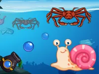 https://www.fvhl.cn/game/crab-shooter