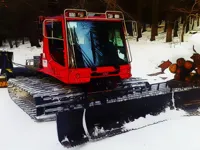 https://www.fvhl.cn/game/snow-groomer-vehicles