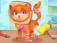 https://www.fvhl.cn/game/cute-pet-doctor-care