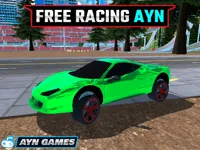https://www.fvhl.cn/game/free-racing-ayn