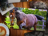 https://www.fvhl.cn/game/jigsaw-puzzle-horses-edition