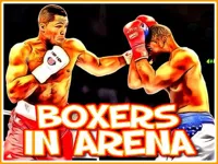 https://www.fvhl.cn/game/boxers-in-arena