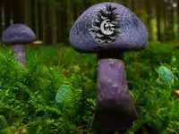 https://www.fvhl.cn/game/mushroom-forest-adventure