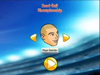 https://www.fvhl.cn/game/head-ball-championship-2