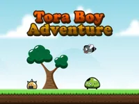 https://www.fvhl.cn/game/tora-boy-adventure
