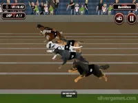 https://www.fvhl.cn/game/crazy-dog-racing-simulator-games-3d