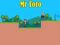 https://www.fvhl.cn/game/mr-toro