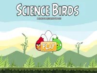 https://www.fvhl.cn/game/science-birds