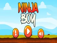 https://www.fvhl.cn/game/ninja-boy