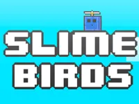 https://www.fvhl.cn/game/slime-birds