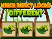 https://www.fvhl.cn/game/which-insect-looks-different