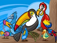 https://www.fvhl.cn/game/exotic-birds-coloring