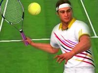 https://www.fvhl.cn/game/tennis-championship-2020