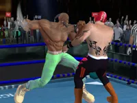 https://www.fvhl.cn/game/real-boxing-fighting-game