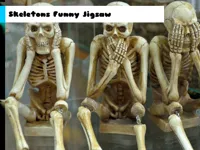 https://www.fvhl.cn/game/skeletons-funny-jigsaw