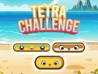 https://www.fvhl.cn/game/tetra-challenge