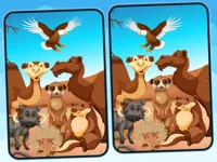 https://www.fvhl.cn/game/spot-5-differences-deserts
