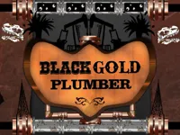 https://www.fvhl.cn/game/black-gold-plumber