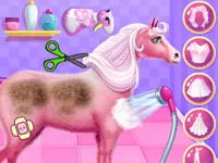 https://www.fvhl.cn/game/princess-horse-caring