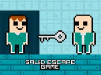 https://www.fvhl.cn/game/squid-escape-game-2player