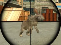 https://www.fvhl.cn/game/rabbit-shooter