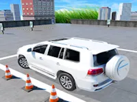 https://www.fvhl.cn/game/classic-prado-car-parking-3d-car-games