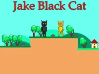 https://www.fvhl.cn/game/jake-black-cat