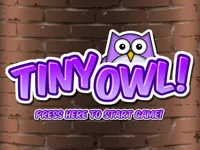 https://www.fvhl.cn/game/tiny-owl