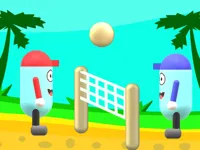 https://www.fvhl.cn/game/beach-volleyball