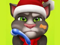 https://www.fvhl.cn/game/talking-tom-injfdfury