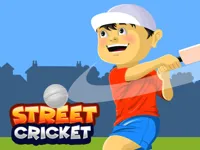 https://www.fvhl.cn/game/street-cricket