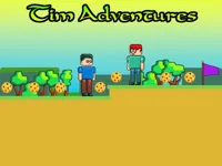 https://www.fvhl.cn/game/tim-adventures