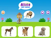 https://www.fvhl.cn/game/world-of-alice-baby-animal
