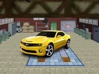 https://www.fvhl.cn/game/supercars-stunt-ramp